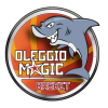 OLEGGIO MAGIC BASKET Team Logo